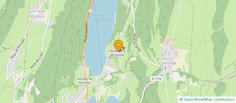 localisation de l'entreprise MONSIEUR LIONNEL COYRET  CHOLONGE