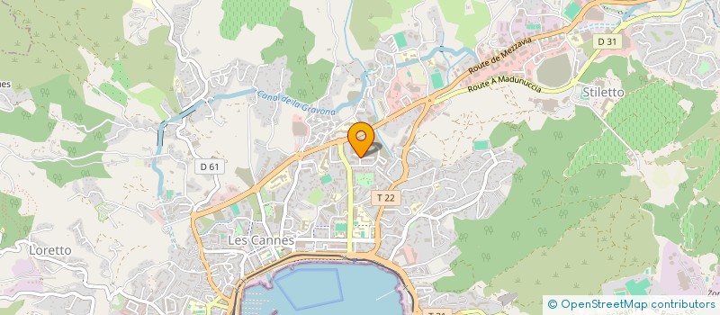 localisation de l'entreprise MONSIEUR LISANDRU DEIANA à AJACCIO
