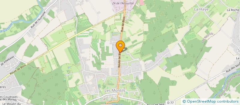 localisation de l'entreprise MONSIEUR LIVIO MUDADU  LES MONTILS