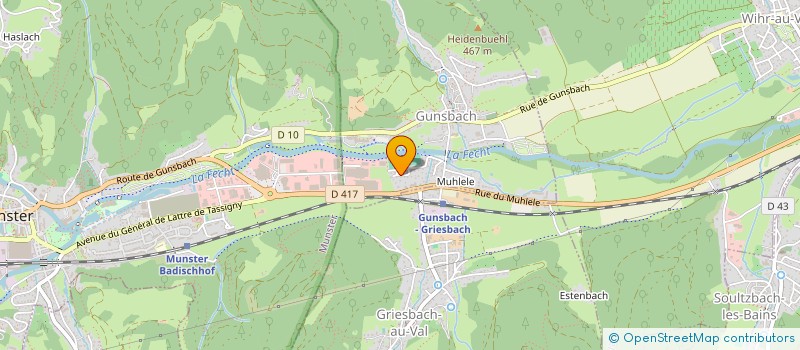 localisation de l'entreprise MONSIEUR LIVIU STAN  GUNSBACH