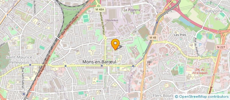 localisation de l'entreprise MONSIEUR LIVIU TURCANU  MONS-EN-BARUL