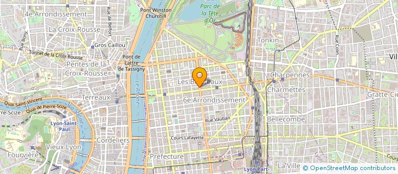 localisation de l'entreprise MONSIEUR LJUBOMIR MIHAJLOVIC  LYON