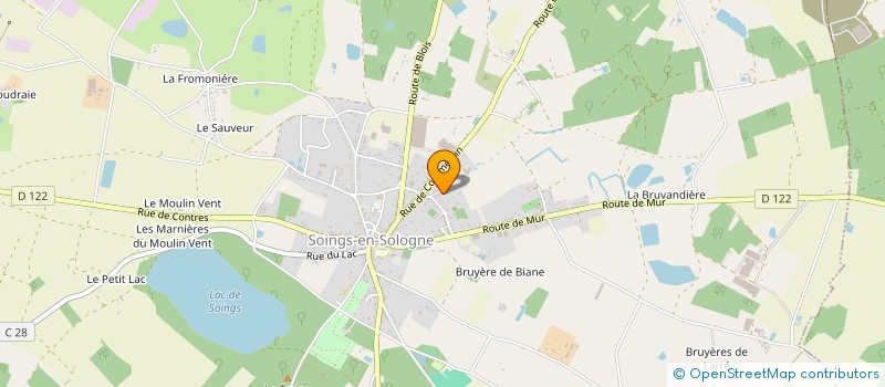 localisation de l'entreprise MONSIEUR LLOYD BONIN  SOINGS-EN-SOLOGNE