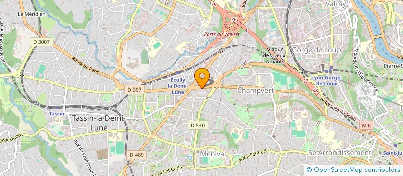 localisation de l'entreprise MONSIEUR LOAN BARON  TASSIN-LA-DEMI-LUNE