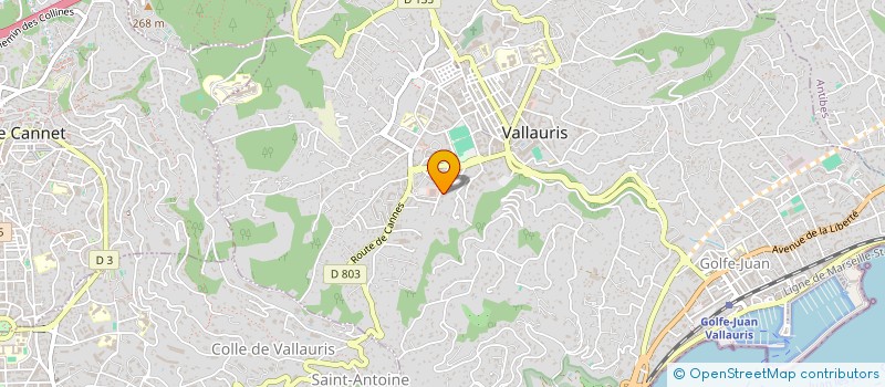 localisation de l'entreprise MONSIEUR LOAN BENNICI  VALLAURIS