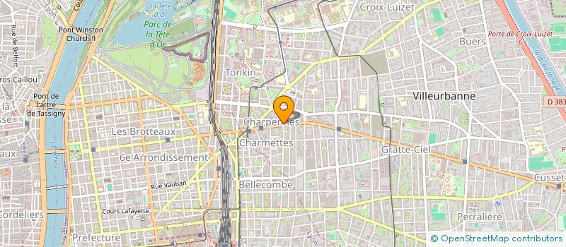 localisation de l'entreprise MONSIEUR LOANN BENOIT  VILLEURBANNE