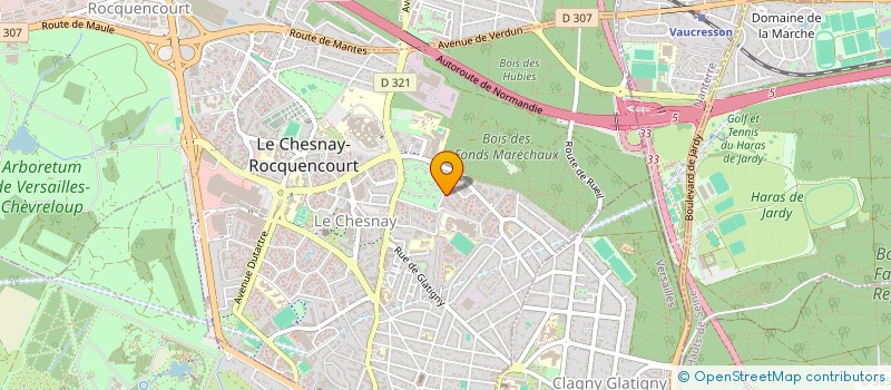 localisation de l'entreprise MONSIEUR LOGHAN ROYER  LE CHESNAY-ROCQUENCOURT