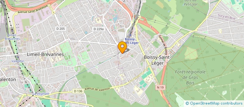 localisation de l'entreprise MONSIEUR LOHAN ERIN à BOISSY-SAINT-LEGER