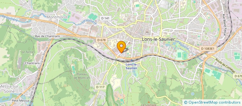 localisation de l'entreprise MONSIEUR LOIC ALEMANY à LONS-LE-SAUNIER