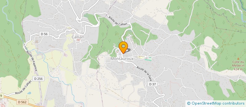localisation de l'entreprise MONSIEUR LOIC ALLEXANDRE à MONTAUROUX