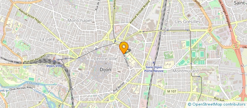 localisation de l'entreprise MONSIEUR LOIC BARCELO  DIJON