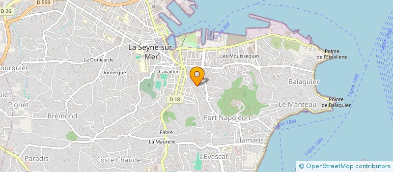 localisation de l'entreprise MONSIEUR LOIC BATTEAU à LA SEYNE-SUR-MER