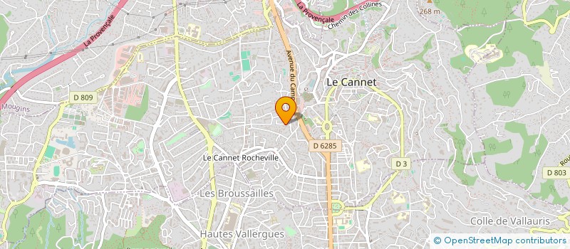 localisation de l'entreprise MONSIEUR LOIC BESSE  LE CANNET