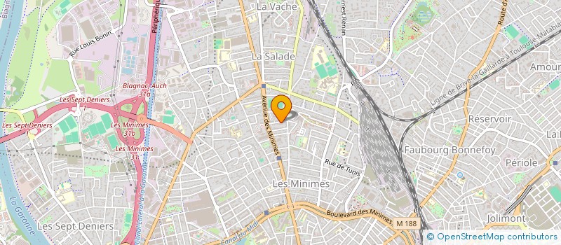 localisation de l'entreprise MONSIEUR LOIC BOUCHEREAU à TOULOUSE