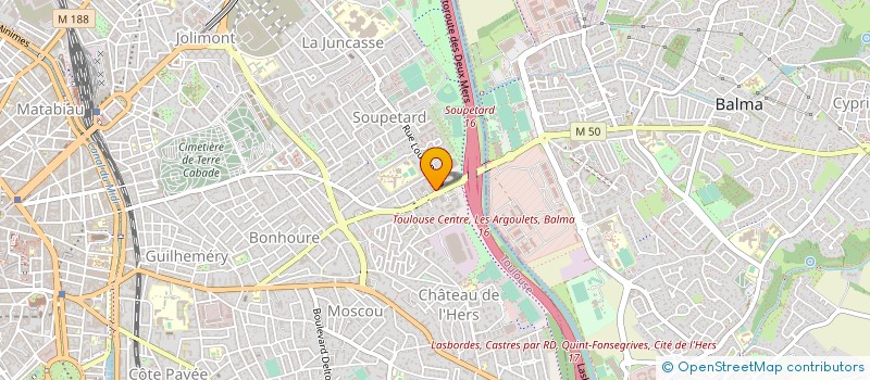 localisation de l'entreprise MONSIEUR LOIC DELMAS à TOULOUSE