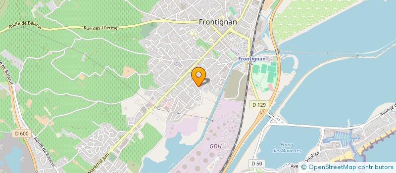 localisation de l'entreprise MONSIEUR LOIC HALLIER à FRONTIGNAN