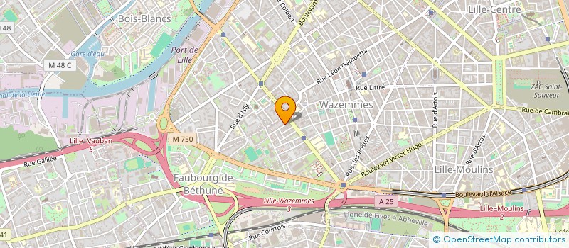 localisation de l'entreprise MONSIEUR LOIC JOAQUIM à LILLE