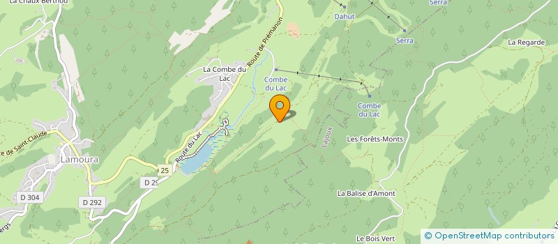 localisation de l'entreprise MONSIEUR LOIC MANGEOL  LAMOURA