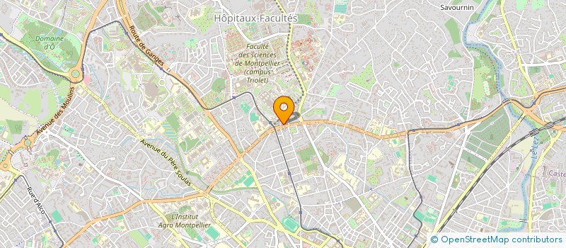 localisation de l'entreprise MONSIEUR LOIC MASSOT à MONTPELLIER