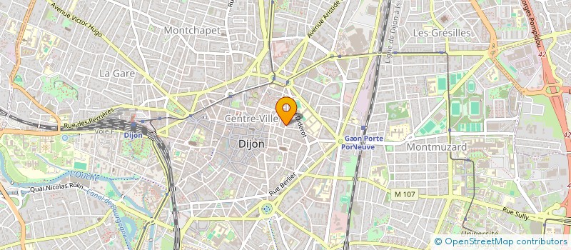 localisation de l'entreprise MONSIEUR LOIC MONNE  DIJON