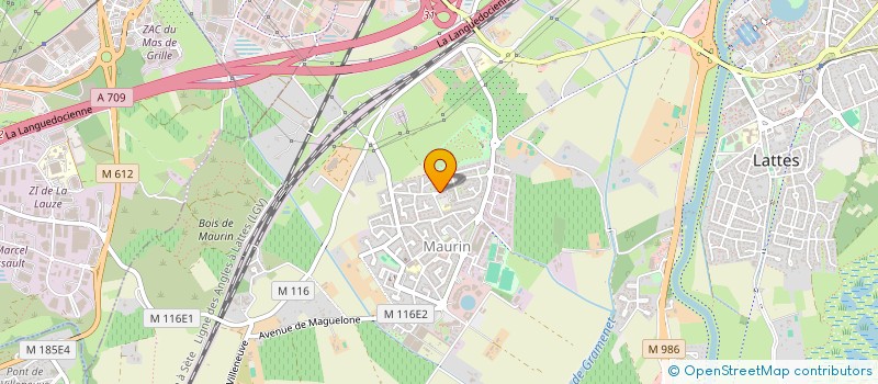 localisation de l'entreprise MONSIEUR LOIC MORIS à LATTES