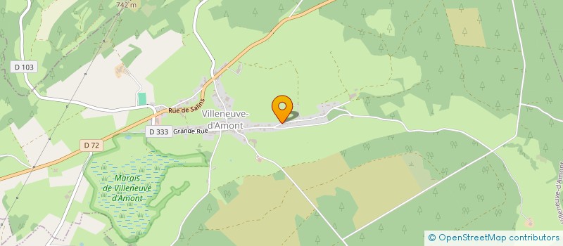 localisation de l'entreprise MONSIEUR LOIC PICHON  VILLENEUVE-D'AMONT