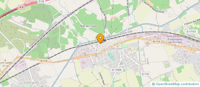 localisation de l'entreprise MONSIEUR LOIC VIDAL  LUNEL-VIEL