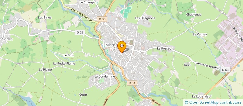 localisation de l'entreprise MONSIEUR LOICK CHAMAGNE  MORNANT