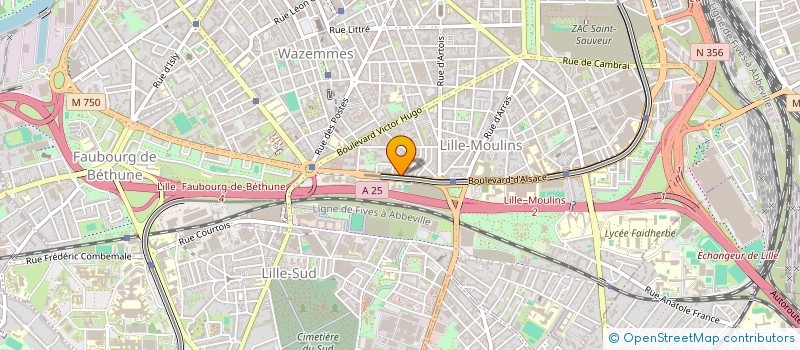 localisation de l'entreprise MONSIEUR LOICK MICHEL à LILLE