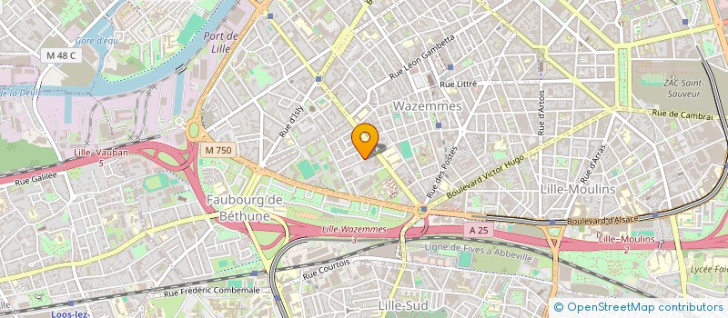 localisation de l'entreprise MONSIEUR LOISEL ENZO à LILLE