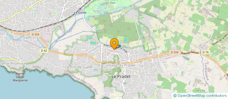 localisation de l'entreprise MONSIEUR LORENZO BERMUDEZ à LE PRADET