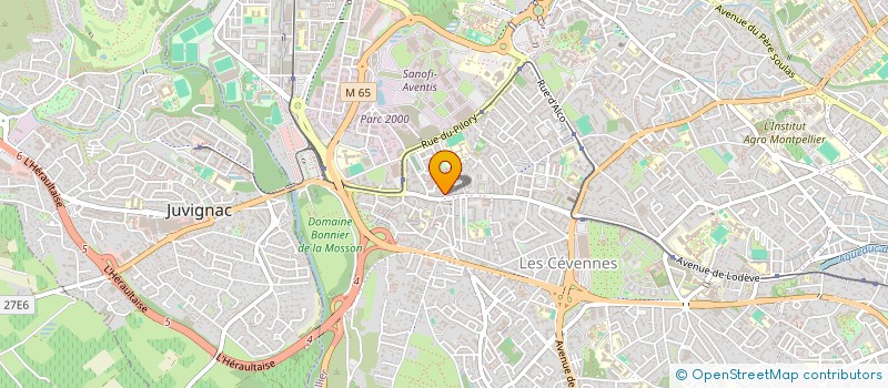 localisation de l'entreprise MONSIEUR LORENZO BERTHELOT  MONTPELLIER