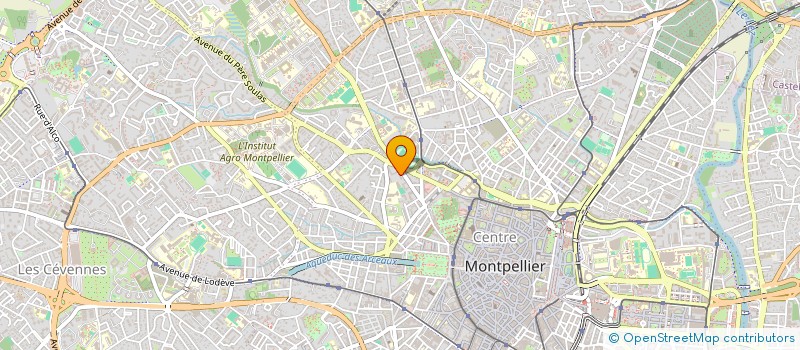 localisation de l'entreprise MONSIEUR LORENZO BUZZI à MONTPELLIER