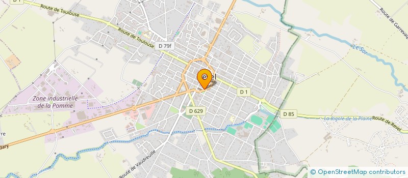 localisation de l'entreprise MONSIEUR LORENZO MARTIN  REVEL