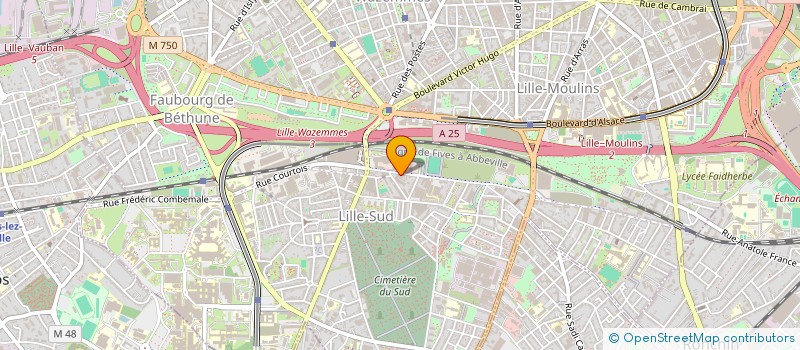 localisation de l'entreprise MONSIEUR LORENZO VENTURIN à LILLE