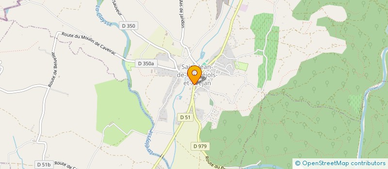 localisation de l'entreprise MONSIEUR LORIS PICHARD  SAINT-JEAN-DE-MARUEJOLS-ET-AVEJAN