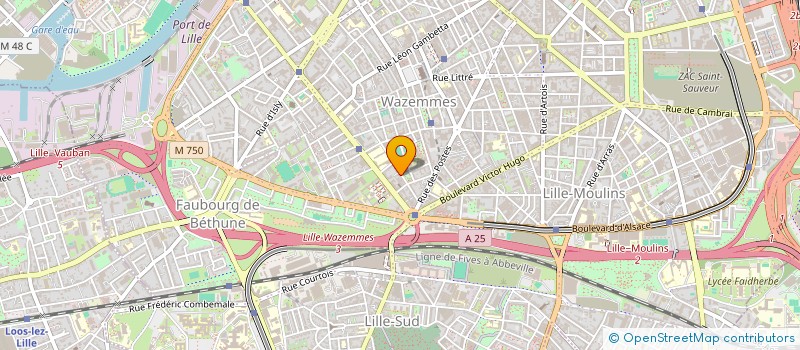 localisation de l'entreprise MONSIEUR LOTFI BALASKA à LILLE