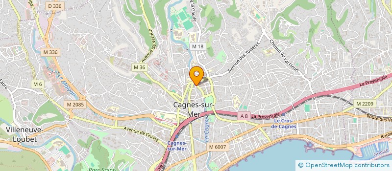 localisation de l'entreprise MONSIEUR LOTFI ZGAREN à CAGNES-SUR-MER