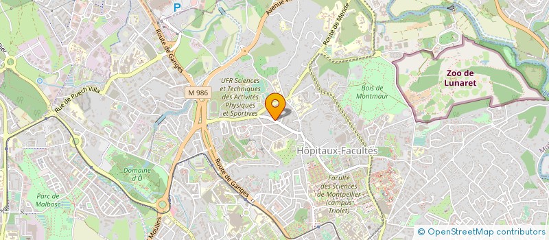 localisation de l'entreprise MONSIEUR LOUCA TREUIL à MONTPELLIER