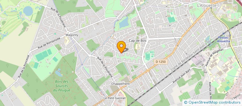 localisation de l'entreprise MONSIEUR LOUIS CARA DEL AGUILA  PESSAC