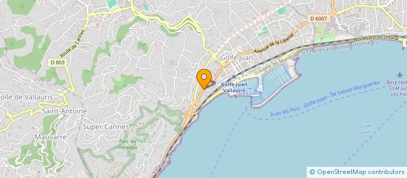 localisation de l'entreprise MONSIEUR LOUIS DALONIS  VALLAURIS