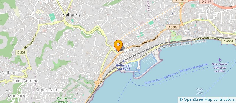 localisation de l'entreprise MONSIEUR LOUIS DAUMAS  VALLAURIS