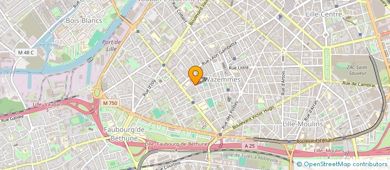 localisation de l'entreprise MONSIEUR LOUIS DEBUSSCHERE  LILLE