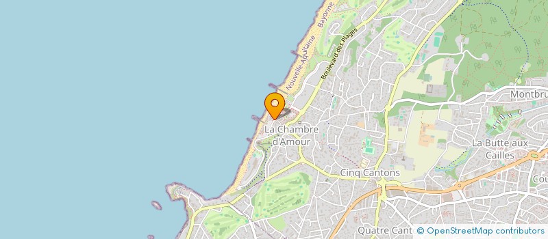 localisation de l'entreprise MONSIEUR LOUIS DELEPINE  ANGLET