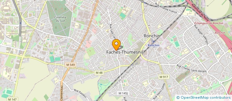 localisation de l'entreprise MONSIEUR LOUIS DELERUE  FACHES-THUMESNIL