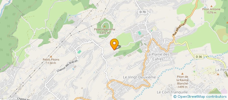 localisation de l'entreprise MONSIEUR LOUIS DOLPHIN  LE TAMPON