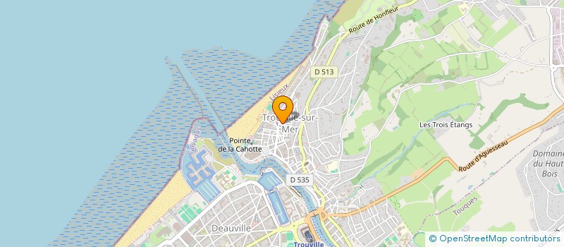 localisation de l'entreprise MONSIEUR LOUIS DUVAL  TROUVILLE-SUR-MER