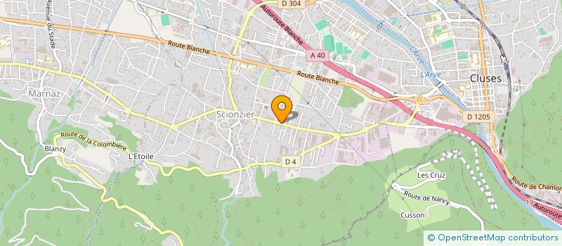 localisation de l'entreprise MONSIEUR LOUIS FEDERICO  SCIONZIER