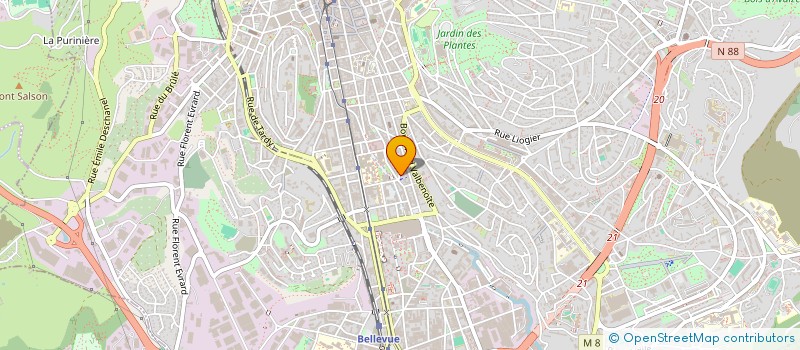 localisation de l'entreprise MONSIEUR LOUIS FELDMANN  SAINT-ETIENNE