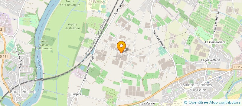 localisation de l'entreprise MONSIEUR LOUIS FROGER à STE GEMMES SUR LOIRE